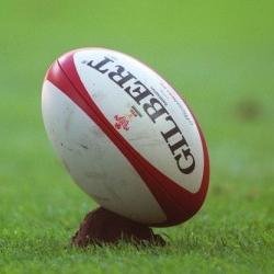 18, Rugby fan