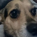 Billy Holtz - @bholtz7599 - Twitter