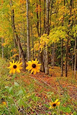 Sr37Riley's profile picture. 