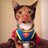 instagramkitten's profile image