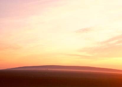 peak_park's profile picture. 