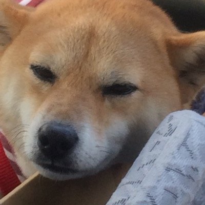 soramoko715@yahoo.co.jp友達、メールトモ、スポンサー仲間、仕事探し どなたでもOKヨロシクネ