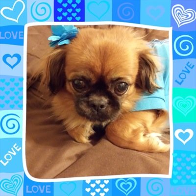 AngelsJenn36's profile picture. Take a deep breath and take one day at a time!