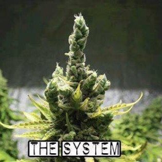 JayDodson8's profile picture. 