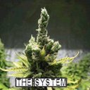 Jay Dodson - @JayDodson8 - Twitter