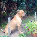 Frank Adolph - @frankadolph76 - Twitter