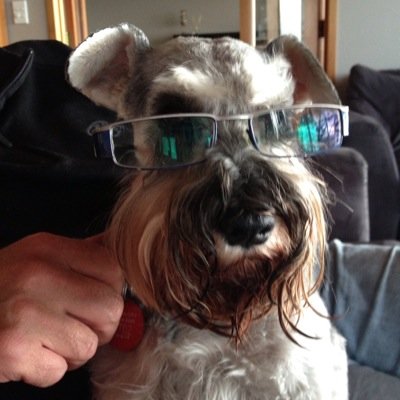 GigaGoldie Profile Picture