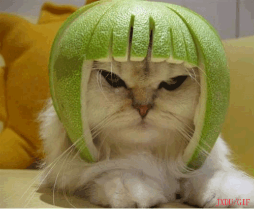 funnyunkle's profile picture. Hey you Hey Me! who know what this is but it def is NSFW & 18+