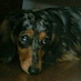 Bob Kawaratani (@bobq) Twitter profile photo Bob Kawaratani (@bobq) Twitter profile photo