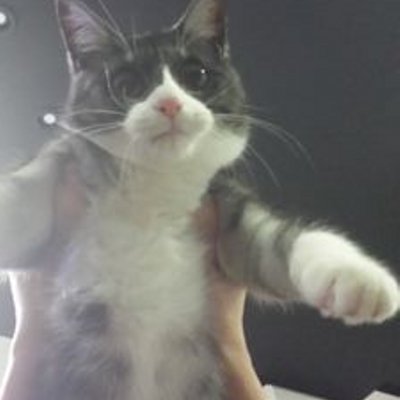 チャーリー