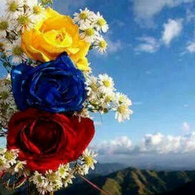 xiomi on Twitter: "#GuardiaNazionalBolivariana El Horror Es Su Divisa"