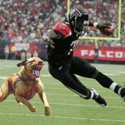 funny nfl funnynfl1234 twitter
