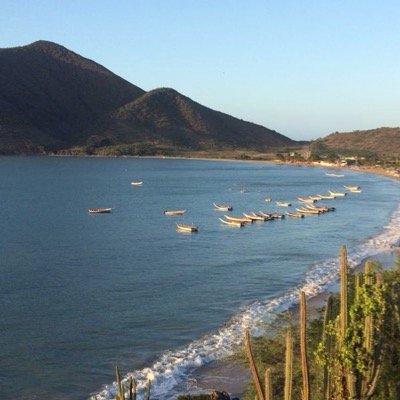 BolivarVir's profile picture. 