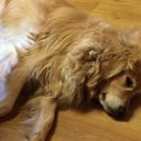 Sheila McCann - @mccannsheila1 - Twitter