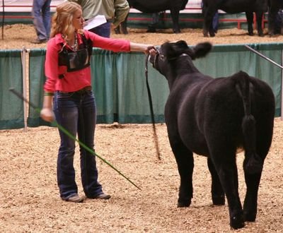 Just a small town girl from southwest minnesota who enjoys showing cattle and living life to the fullest #PesekCattleFarm