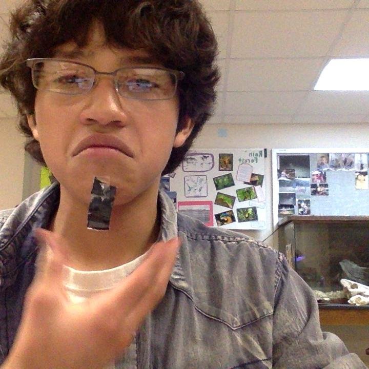 pipiu111's profile picture. 