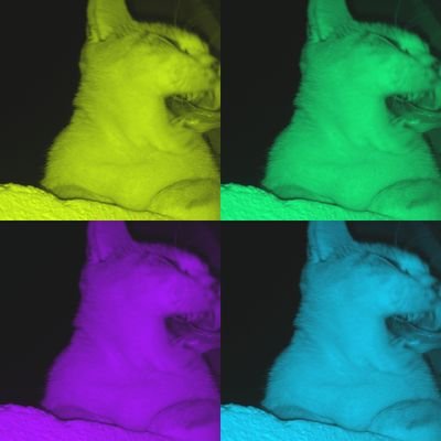 Hello!ツイッターデビュー2011.5☆ あまり ツイッターとか分からないんですけど こんな吾輩でも つぶやいていいですか?ФФ