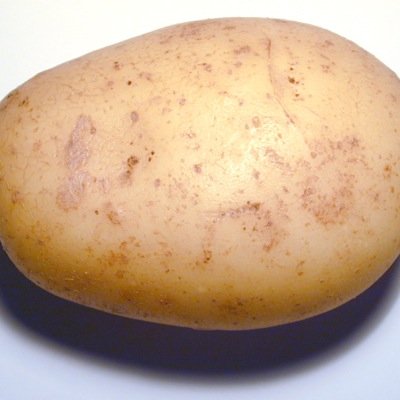 literal canonical potato