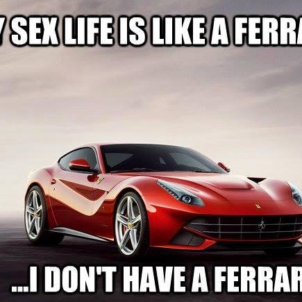 i_vidya_games's profile picture. gamer, horse lover and activist for the more sugar movement