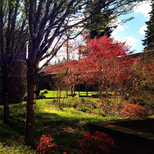 The official Twitter page of the South Puget Sound Community College Law Club.