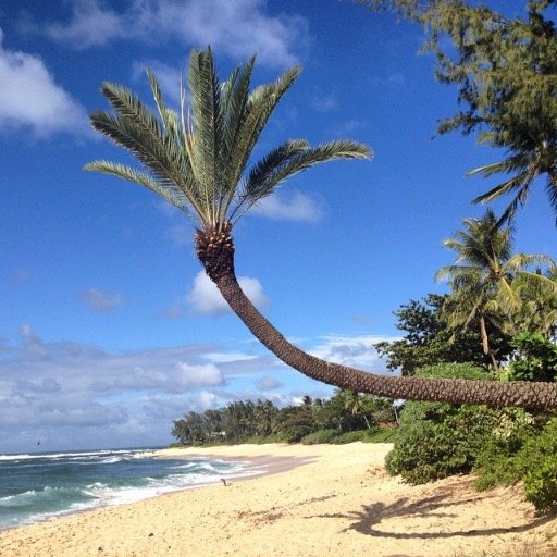 Instagram photos taken in Oahu, Hawaii. Photo accreditations (@) are for users on Instagram, not Twitter.