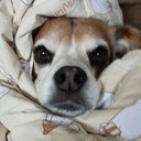 judie watson - @judie9239 - Twitter