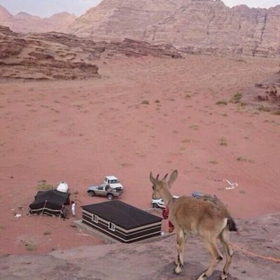‏الحمدلله