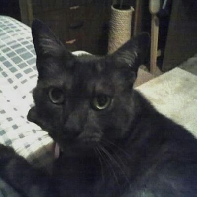 HeiseTracy's profile picture. 