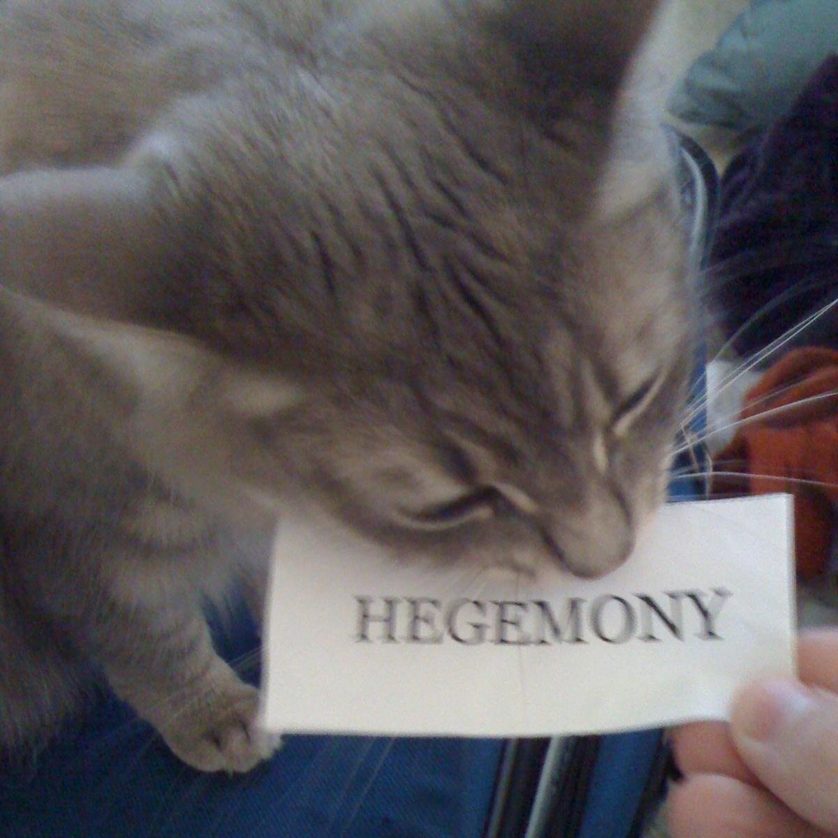 panicandvomit's profile picture. 