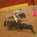 Jorge Alva - @JorgeAlvaf - Twitter