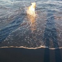 Emily Lobsenz (@daggewood) 's Twitter Profile Photo