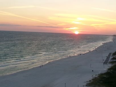 TNtoSea's profile picture. 