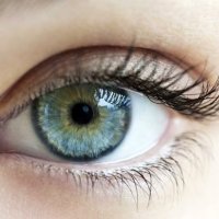 د.نصره سعود الغربي (@dr_nasragh) 's Twitter Profile Photo