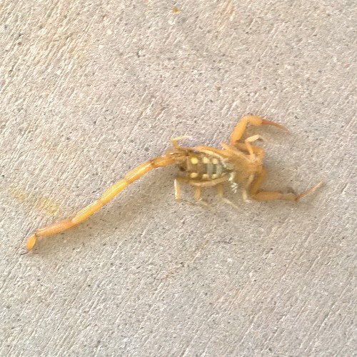 TracyR92's profile picture. 