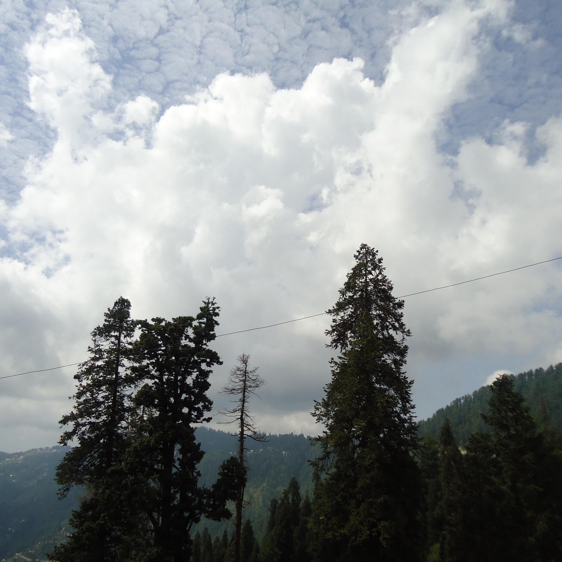 TameeremillatKh's profile picture. 