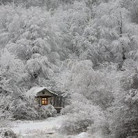 Juan Carlos Moreno (@juancarlos0016) 's Twitter Profile