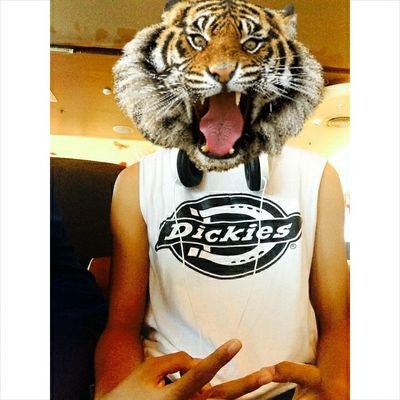 disc jockey