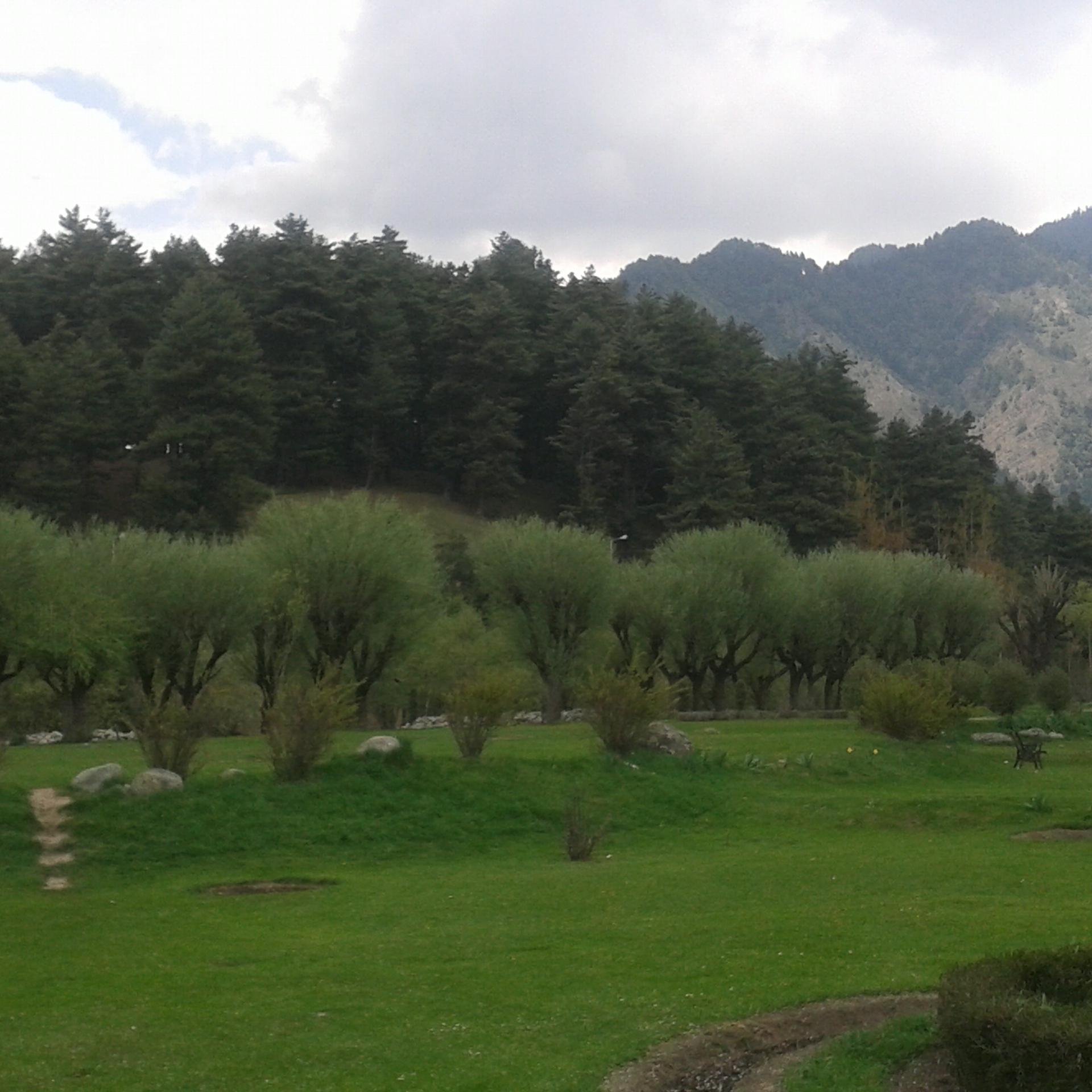 kunalgupta3's profile picture. Forever Complaining!