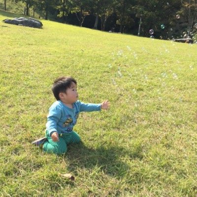 趣味 ルアーフィッシング(ライト ショア) メバリング、アジング、ライトジギング、エギング