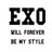 EXO Fan 