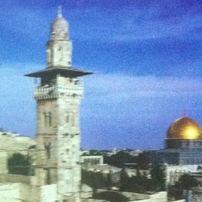 johny_Ramalah's profile picture. Rammalah
 حلم حياتي اشتغل لبلدي