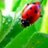symneteta1981's profile image