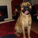 David Orbell - @orbs08 - Twitter