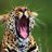wipapelre1974's profile image