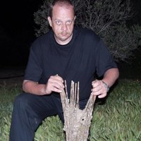 Werner Hupperich (@hupperichwerner) 's Twitter Profile Photo Werner Hupperich (@hupperichwerner) 's Twitter Profile Photo