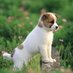 Beautifull Photos (@rinkimhong) Twitter profile photo