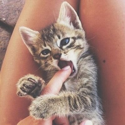 vivgghjbgg's profile picture. 