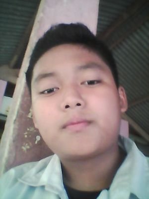 reza_netic136's profile picture. 