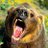 butivincei1981's profile image