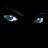 senpofanro1975's profile image